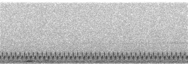 Eurasian Nightjar - ML232225311