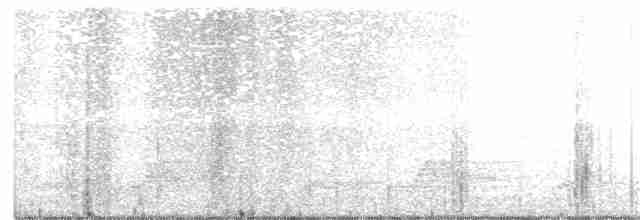 Schwarzkehl-Nachtschwalbe - ML232249471