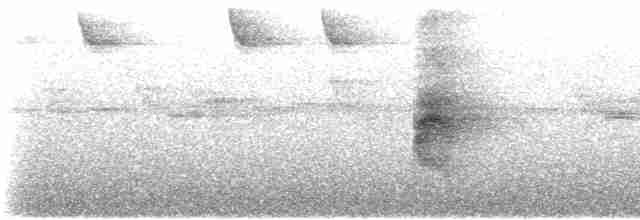 Zimtschwanz-Blattspäher (holti) - ML232328