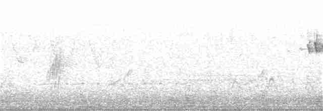 Orange-crowned Warbler - ML232355311
