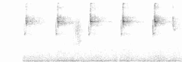 Колібрі-іскринка білочеревий - ML232519041