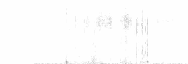 Белолобый лесной перепел - ML232541891