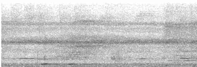 Great Tinamou - ML232579141