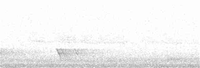 Тасманийский ворон - ML232591151