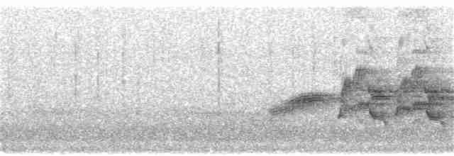 Дрізд-короткодзьоб бурий - ML232702221