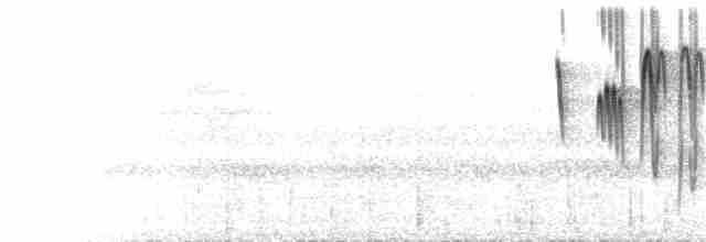 Roraima Sinek Tiranı - ML232705101