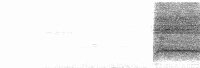 Дятел-смугань білогорлий - ML232705251
