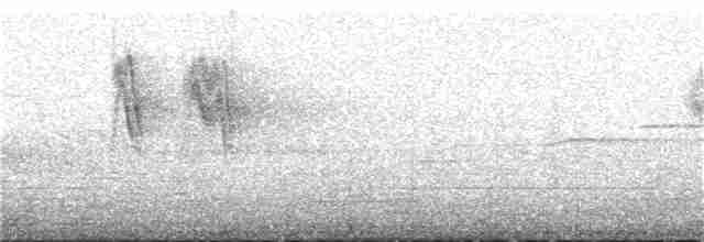 Boz Karınlı Kırlangıç - ML232706551