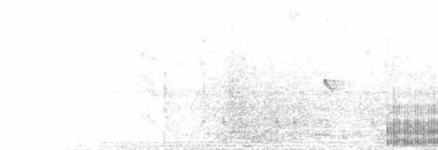 Белокрылая пенелопа - ML232706731