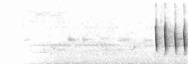 Güney Sorguçlu Sinekkapan - ML232712061