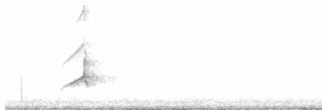 Sarı Karınlı Sinekkapan - ML232716631