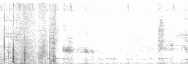 bulbul himálajský - ML232810521