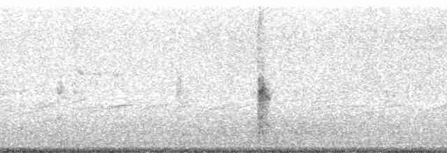 vlhovec červenokřídlý [skupina phoeniceus] - ML23285