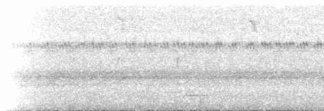 Speckled Warbler - ML232855