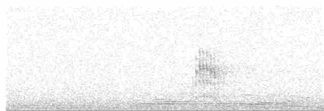 Baillon's Crake (Western) - ML232865141