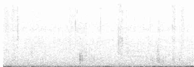 Bicknell Bülbül Ardıcı - ML232918881