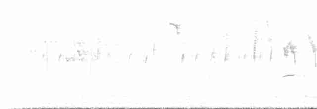 Speckled Warbler - ML232920