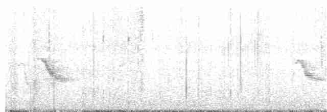 Bicknell Bülbül Ardıcı - ML232921571