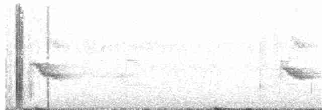 Bicknell Bülbül Ardıcı - ML232921651