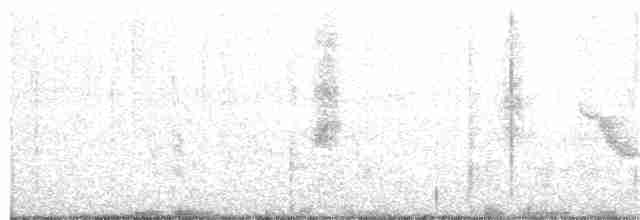 Bicknell Bülbül Ardıcı - ML232921681