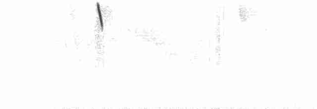 White-browed Brushfinch - ML232948051