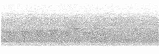 Uzun Kuyruklu Karıncakuşu - ML232949811