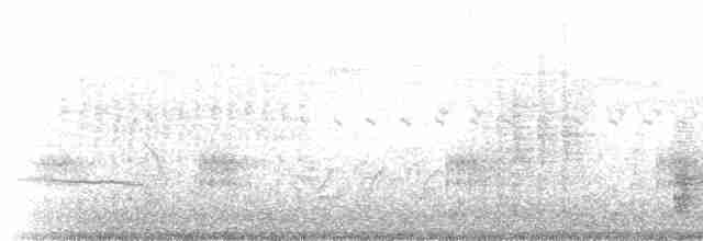 White-plumed Honeyeater - ML232955
