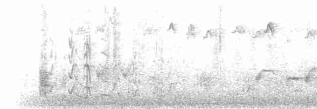 Clamorous Reed Warbler - ML232978
