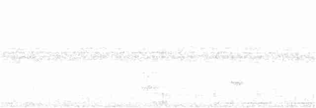 Горличка білолоба - ML233016611