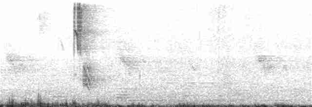 オジロツグミ - ML233059791