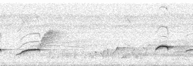 svarthoderustsanger - ML23306