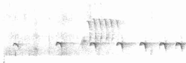 Chaparralgrasmücke - ML233068501