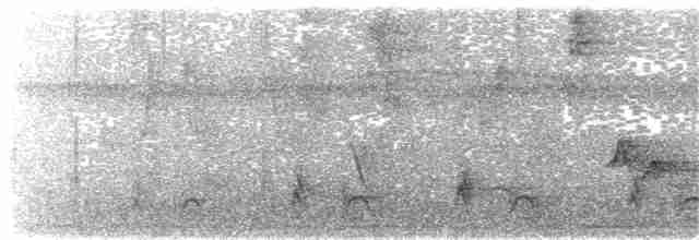 Kara Giysili Karıncakuşu - ML233107121