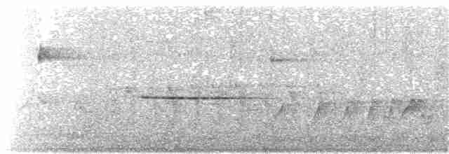 Troglodyte siffleur - ML233108461