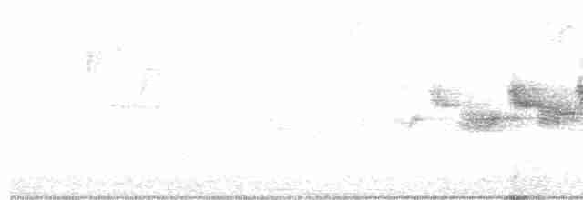 Black-throated Gray Warbler - ML233112581