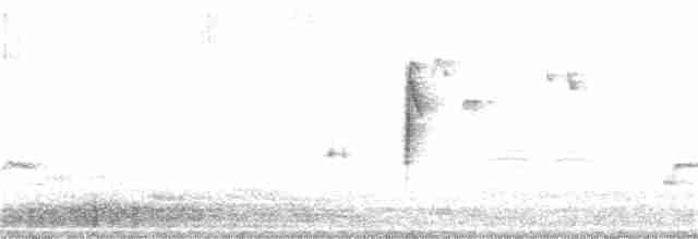 hvitkronespurv (oriantha) - ML233156501