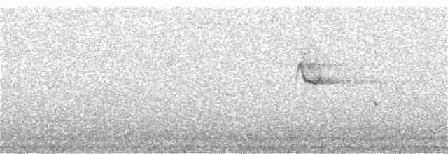 Kara Başlı Balkuşu - ML233162001