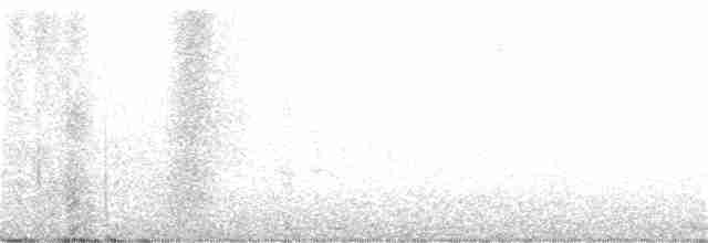 Black-billed Cuckoo - ML233168341