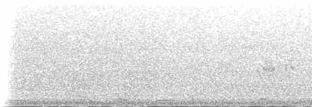 White-winged Tern - ML233188
