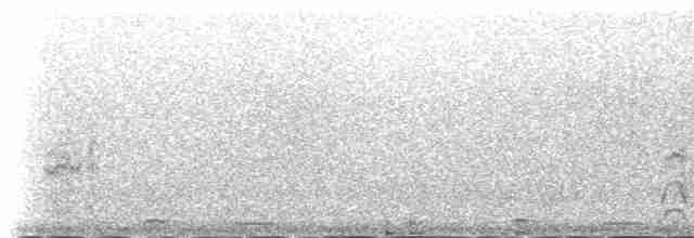 White-winged Tern - ML233189