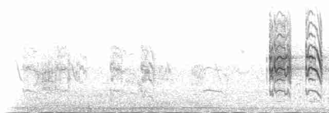 白翅黑燕鷗 - ML233195