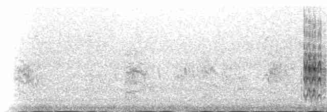白翅黑燕鷗 - ML233200