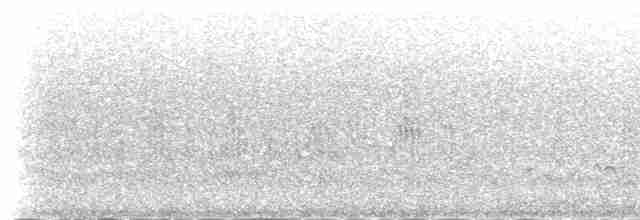 Great Reed Warbler - ML233242