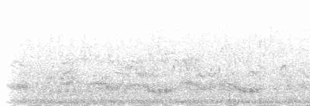 Blyth's Reed Warbler - ML233246