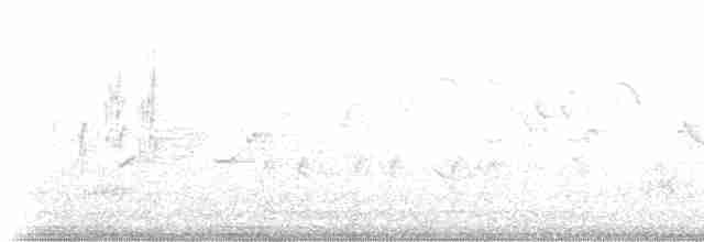 Кропив'янка сіра - ML233252