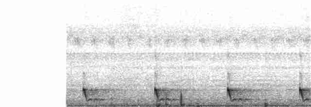 Large-tailed Nightjar - ML233305011