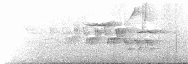 Черногорлая хвойница - ML233314361
