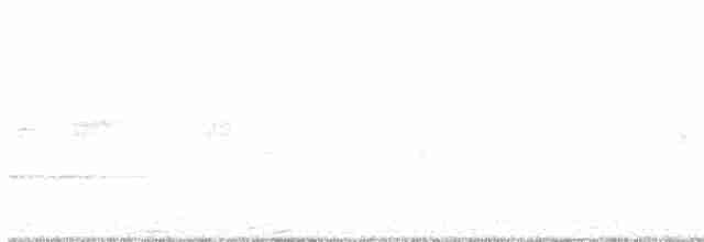 Canada Warbler - ML233321541