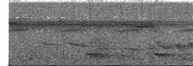 Riverbank Warbler (Northern) - ML233321981