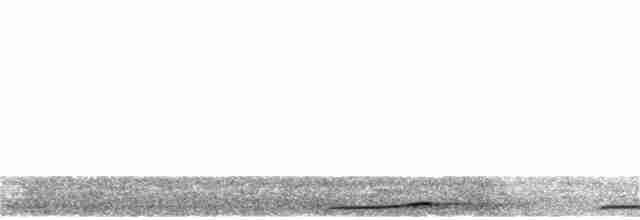 Сова-голконіг далекосхідна - ML233322011